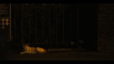 丧版《土拨鼠之日》，时间循环梗这次能玩出新意吗？