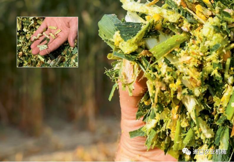 详解CLAASJAGUAR玉米粉碎器德版