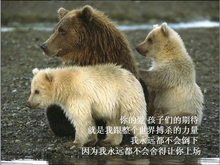 我只想说声爱你,只想再爱你一次