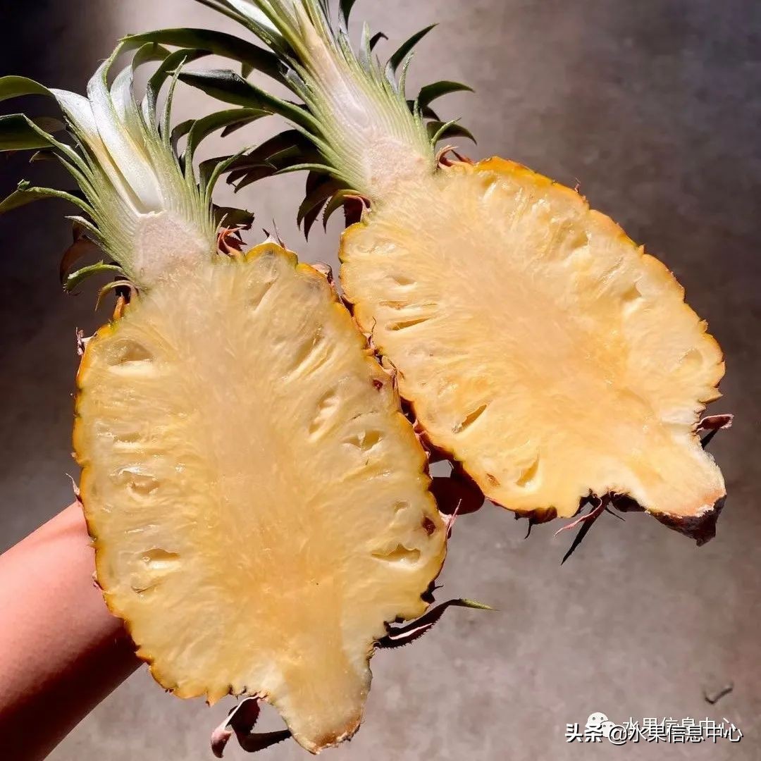 水果天堂：海南水果品种及上市时间表