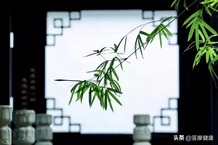 道真的特色有哪些,道真值不值得去