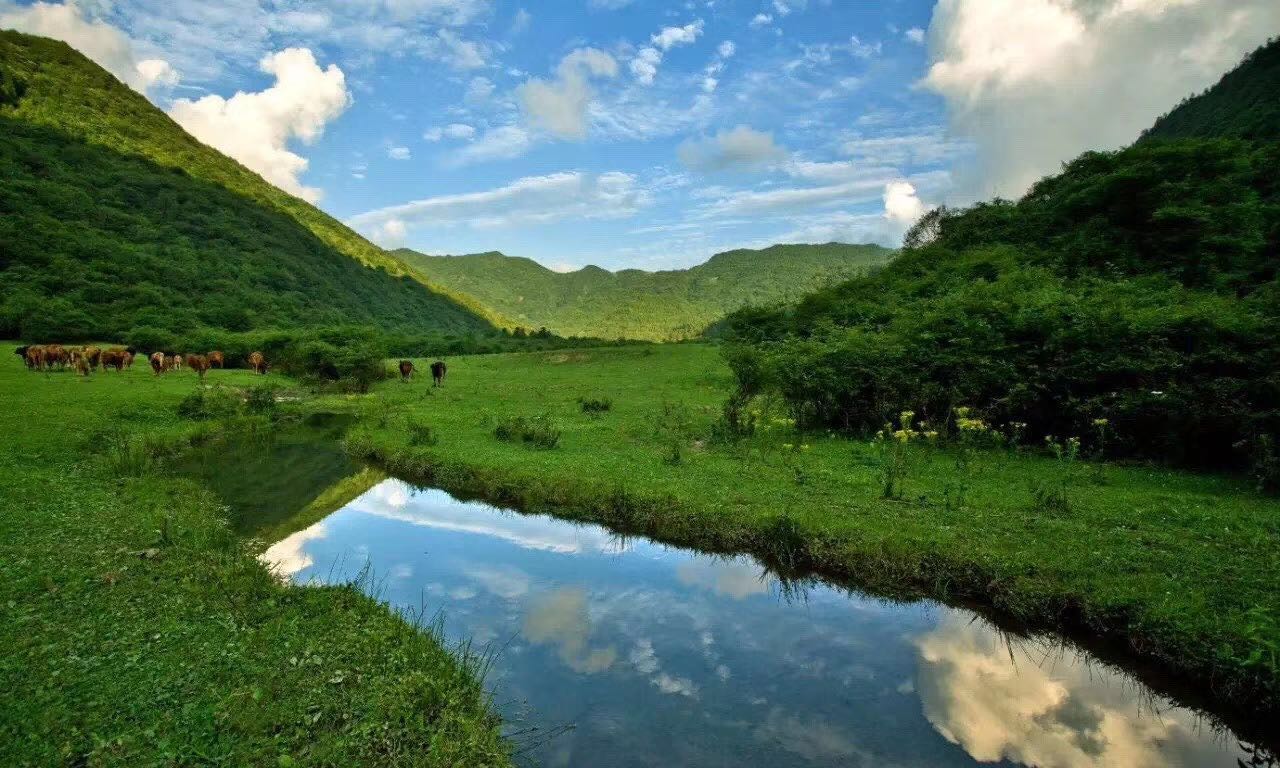 丰都龙景花园避暑房,丰都南天湖避暑房推荐