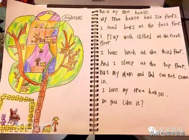 艾米粒的英语怎么写,艾米粒使用方法