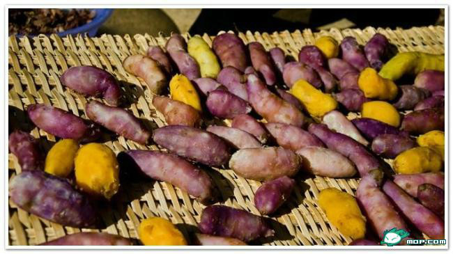 广西80后农村童年经典回忆,80后的童年回忆广西的农村生活