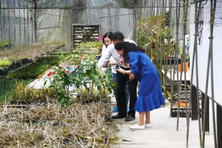 报考华南农业大学,华农报录比