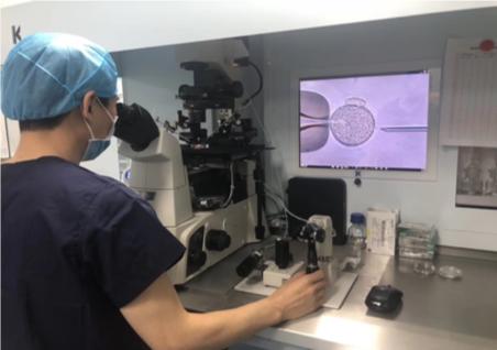 胚胎师知道胚胎性格吗,胚胎师都挑选什么精子