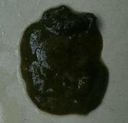 鸡拉黑稀便是什么病症,鸡拉黑粪便怎么治疗