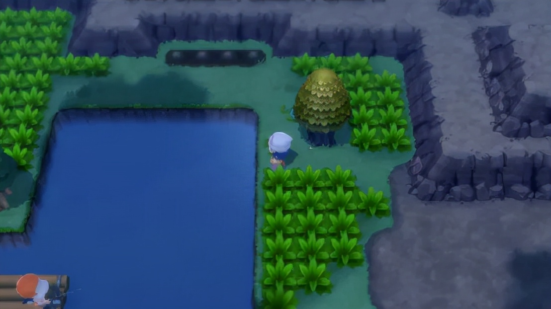 宝可梦晶钻明珠区别,宝可梦晶钻明珠