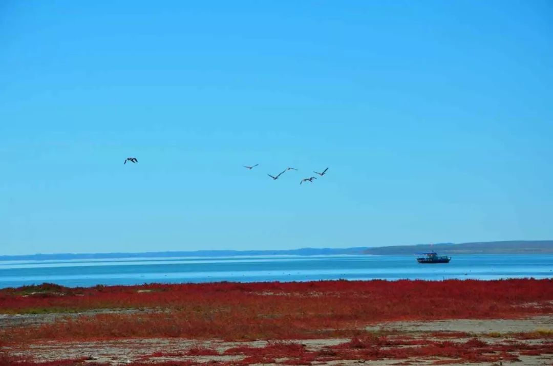 带你去看浩瀚宇宙,带你去内蒙古赤峰