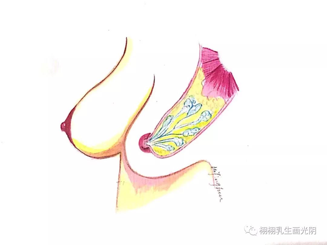 最贵的房子内部,最贵的房子内部图片