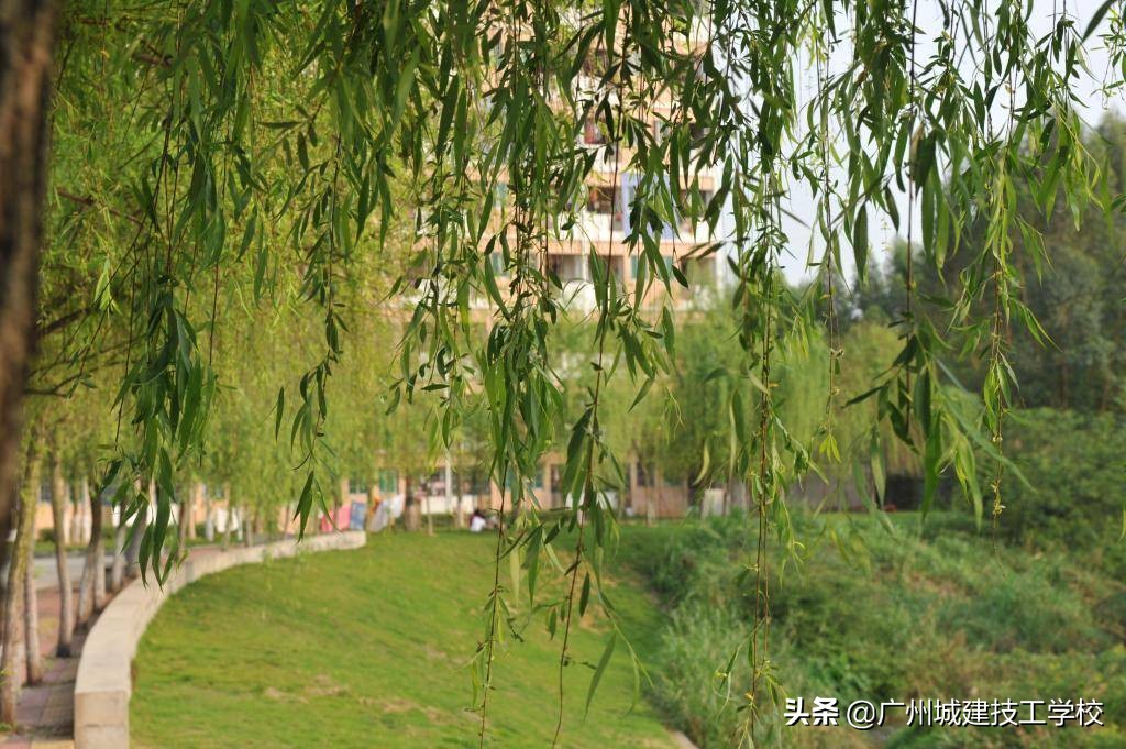 校园环境的简介,校园环境篇