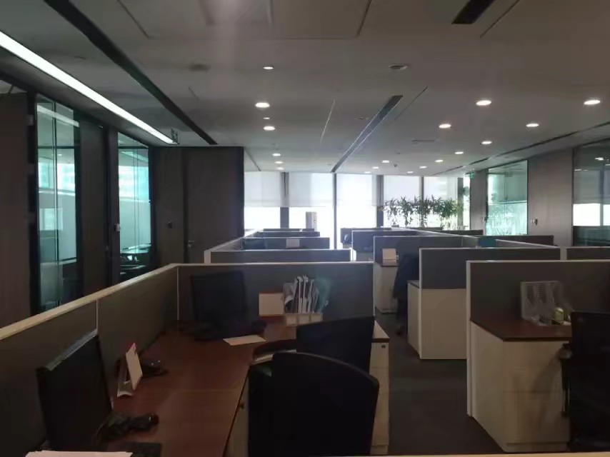 我眼中的女性形象,外地人眼里的上海女人