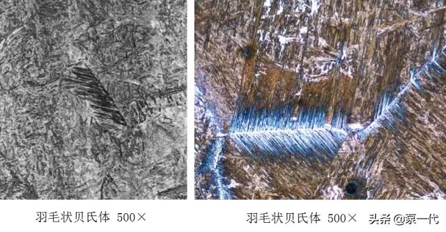 马氏体、奥氏体、珠光体，20种材料彩色金相，带你轻松识别