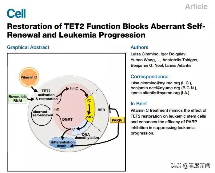 维生素C治疗新冠肺炎有用吗？日常补充维C该怎么补？