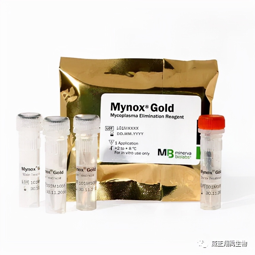 支原体污染怎么处理,支原体污染