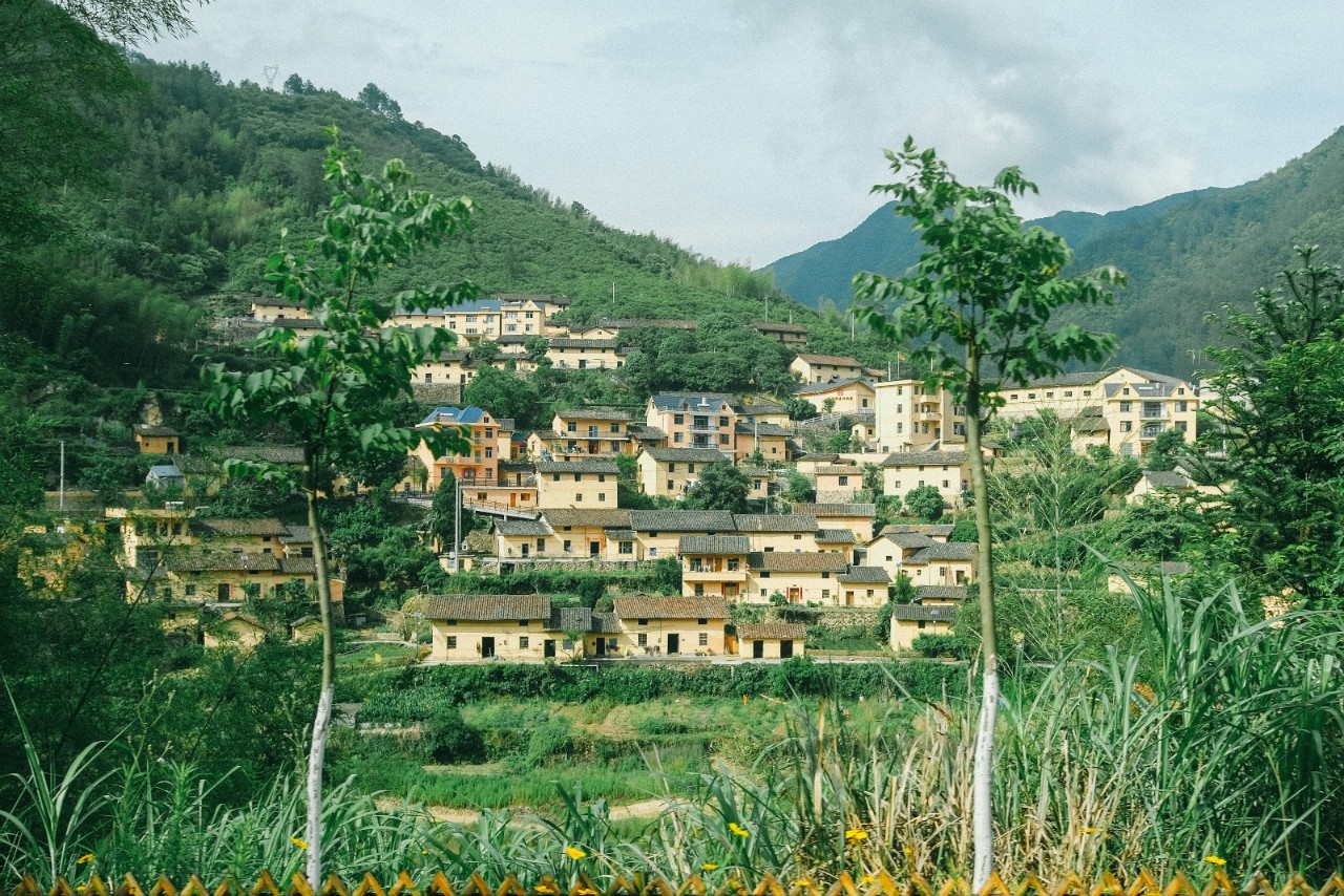 遂昌仙峡湖网红绿道在哪里,遂昌仙峡湖