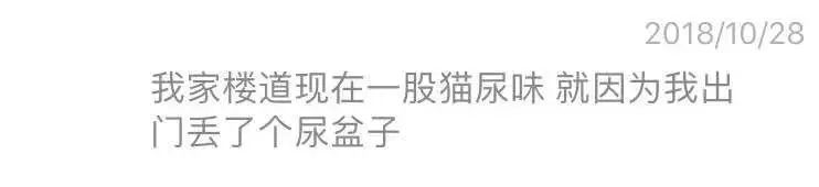 猫咪乱尿解决神器,猫咪乱尿吃什么药管用