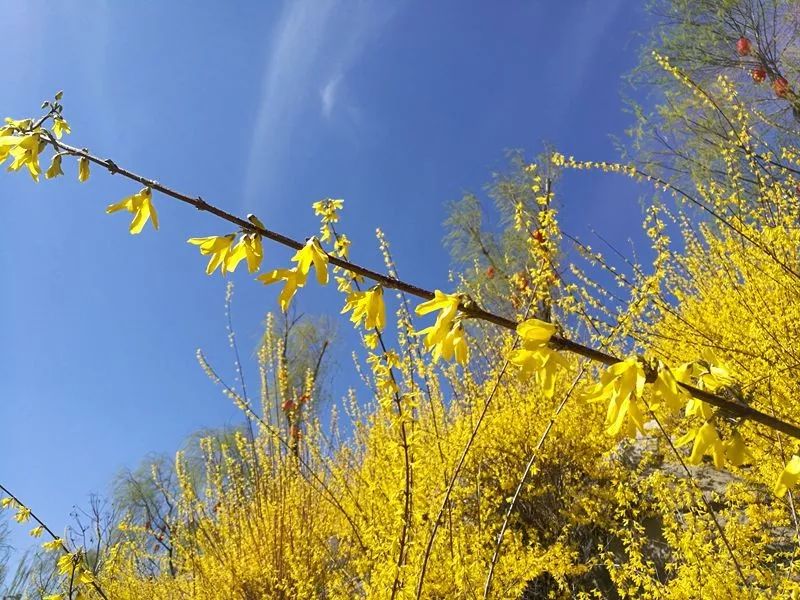 晋城司徒小镇异域风情,晋城皇城相府和司徒小镇