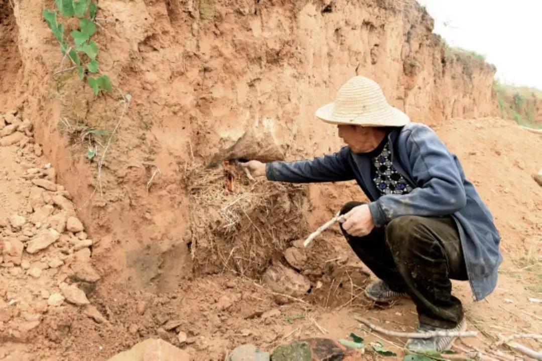 古老烧木炭窑的结构,古代木炭窑