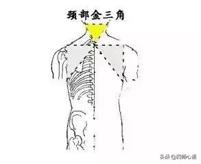 神奇的人体三角区，养好了，百病难扰
