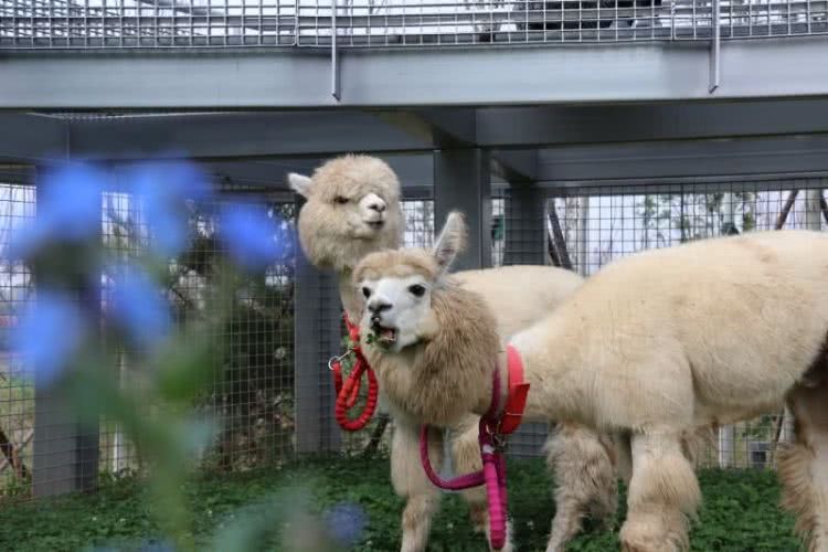 南戴河汐溪亲子酒店，北欧风情房推窗看海邂逅美景