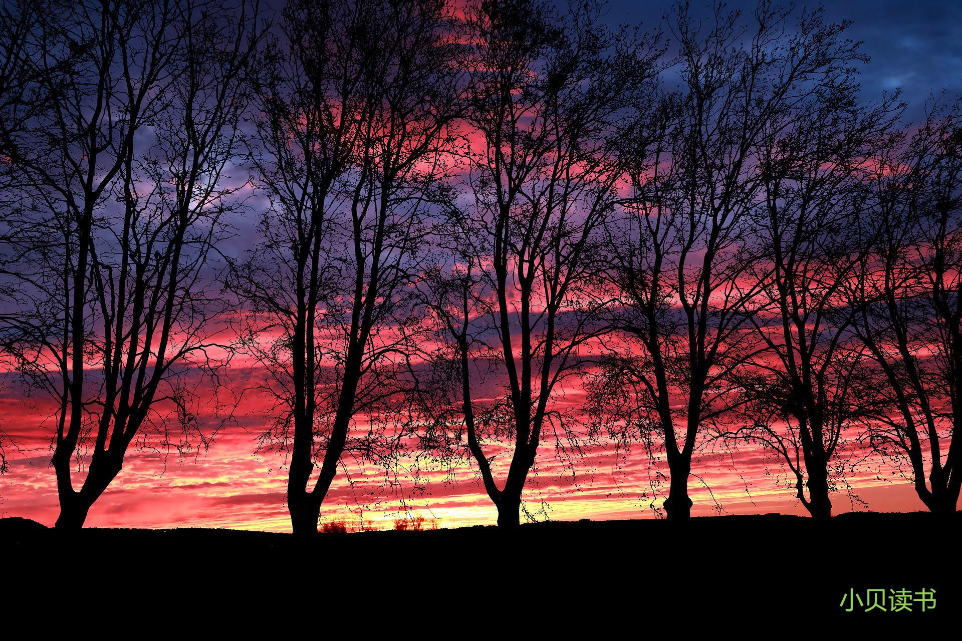 剑来礼部尚书,剑来跟随仙尉修道