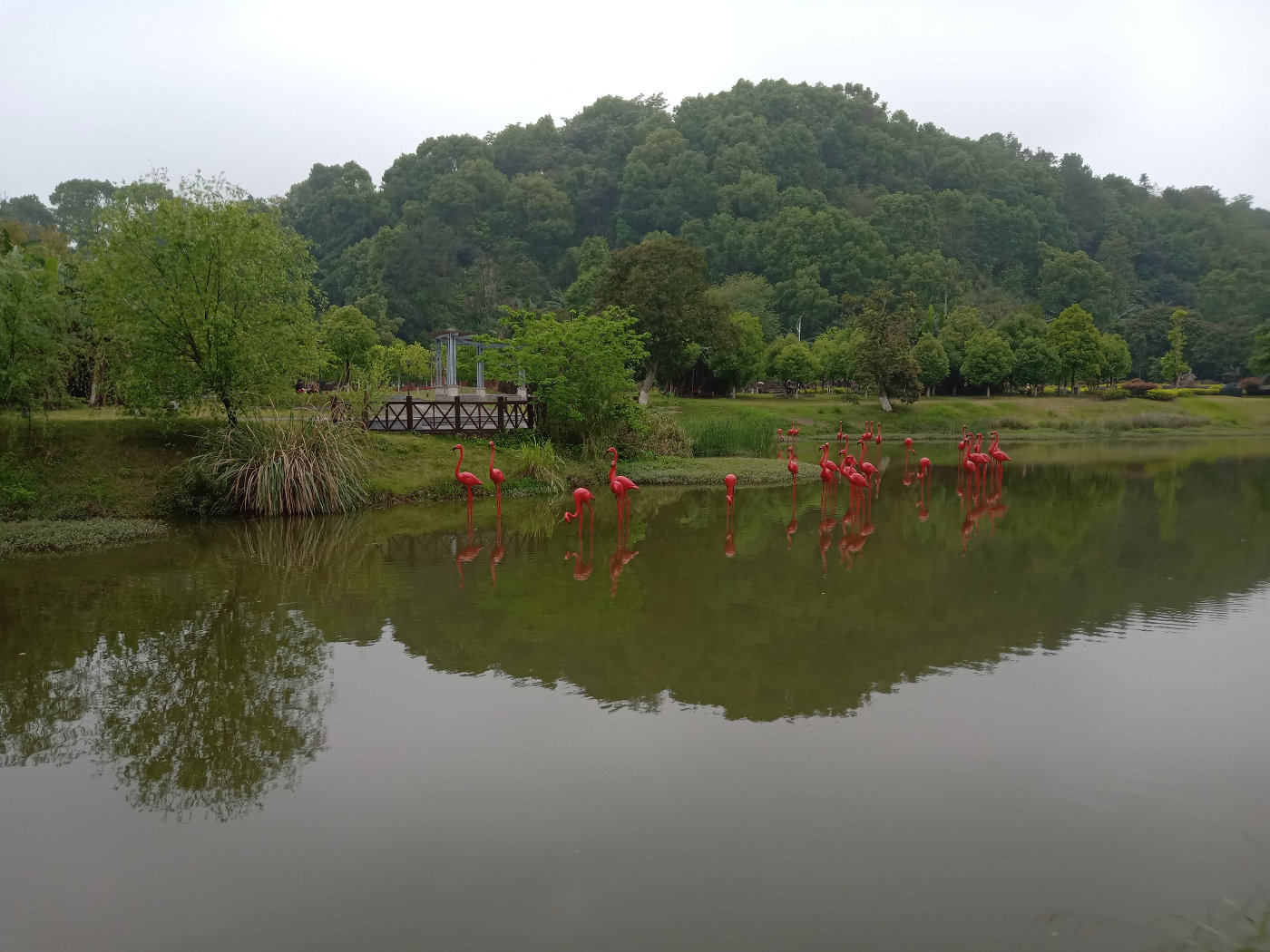 福州大学就像一座大公园，风景美到爆！最美的世界一流学科院校