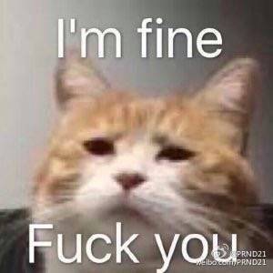 新款本田insight试驾视频,本田insight最新款