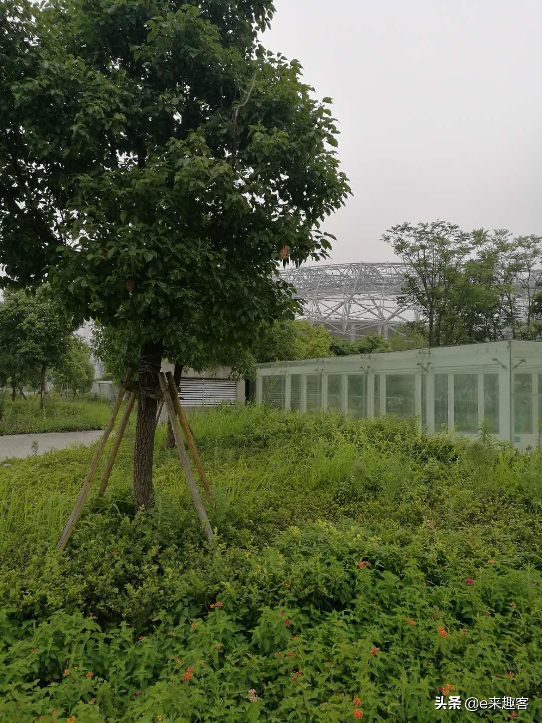 温州奥体中心体育综合馆,2023年温州飞盘奥体中心体育馆