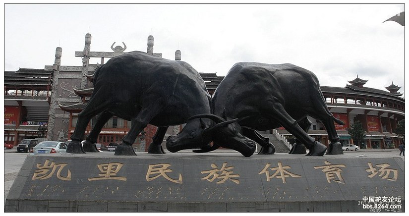 老凯里酸汤鱼多彩贵州,醉美多彩贵州门票