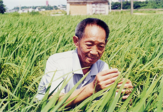 *国锋华**墓地：有很多老人鞠躬，回归卦山，不占民地