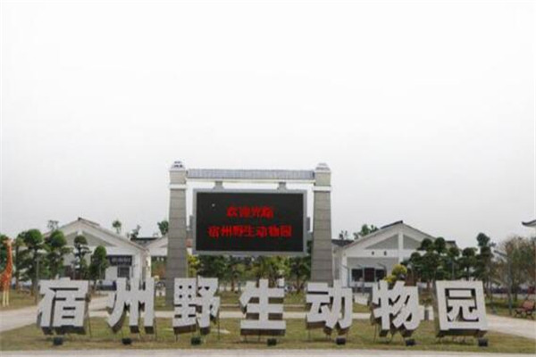 宿州旅游必去十大景点有哪些地方,宿州虞姬旅游攻略