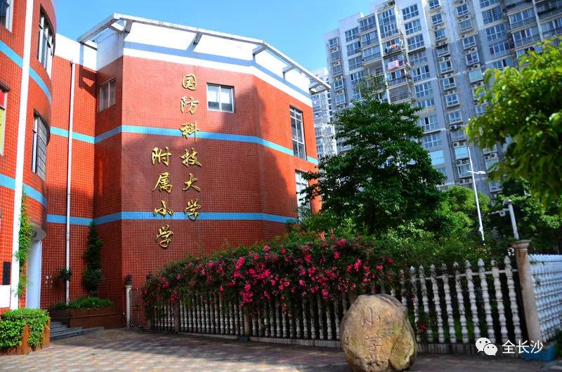 干货|长沙最受欢迎的十大老牌小学盘点