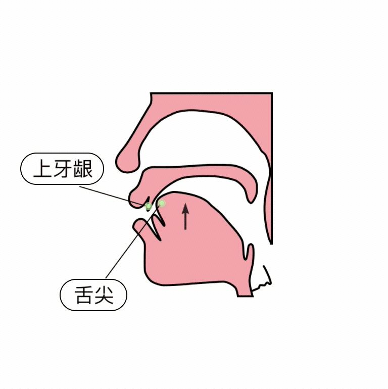 小学拼音前鼻音与后鼻音的区别,小学拼音前鼻音后鼻音怎么区分