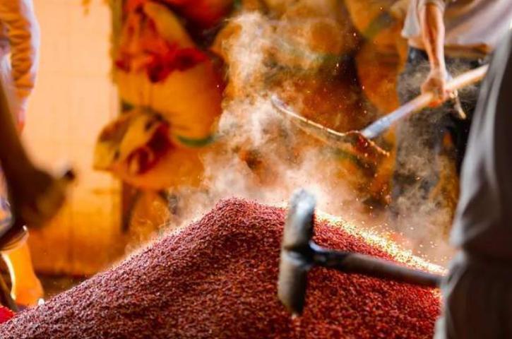 国珍五星收入,国珍真实收入多少