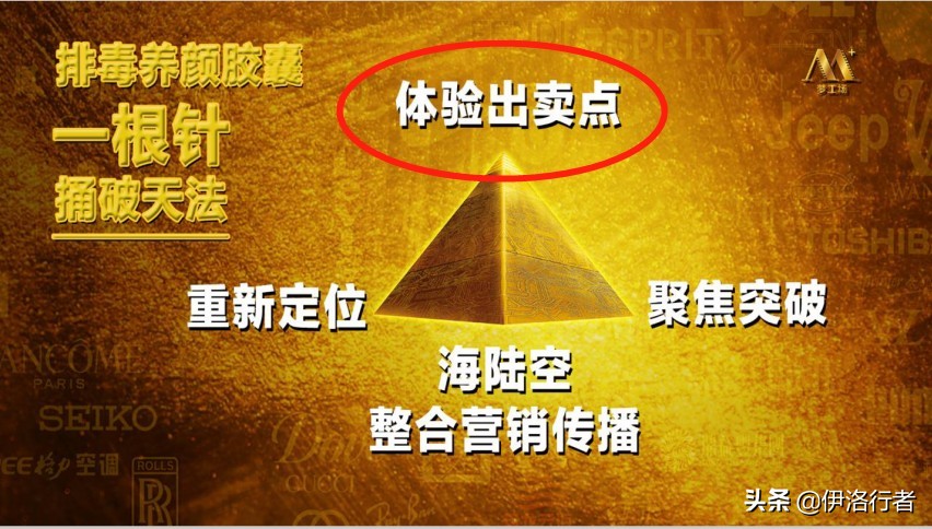 品牌专家王阳,中国品牌策划大师王阳简介图片