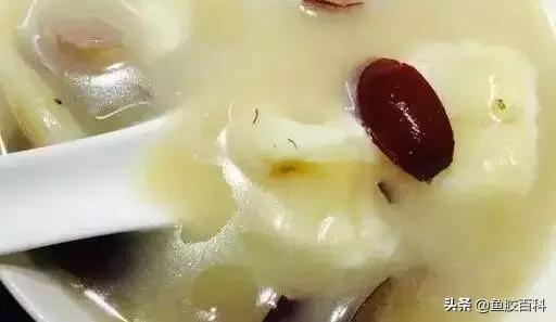 鱼胶煲汤的最佳配方,吃鱼胶宝宝