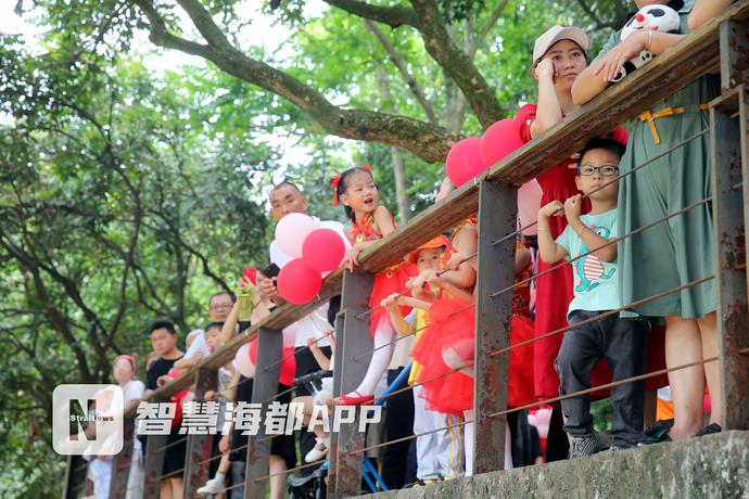 最特别的“百日宴”！小长颈鹿父亲节办派对