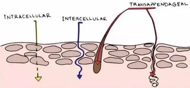 孕期护肤mama,孕期护肤食疗