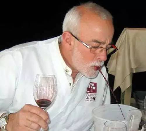 如何品鉴葡萄酒300字,怎么品鉴葡萄酒