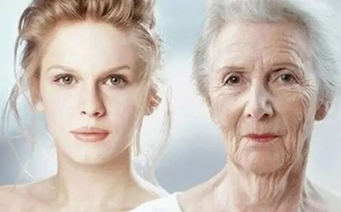 干细胞衰老,衰老造血干细胞