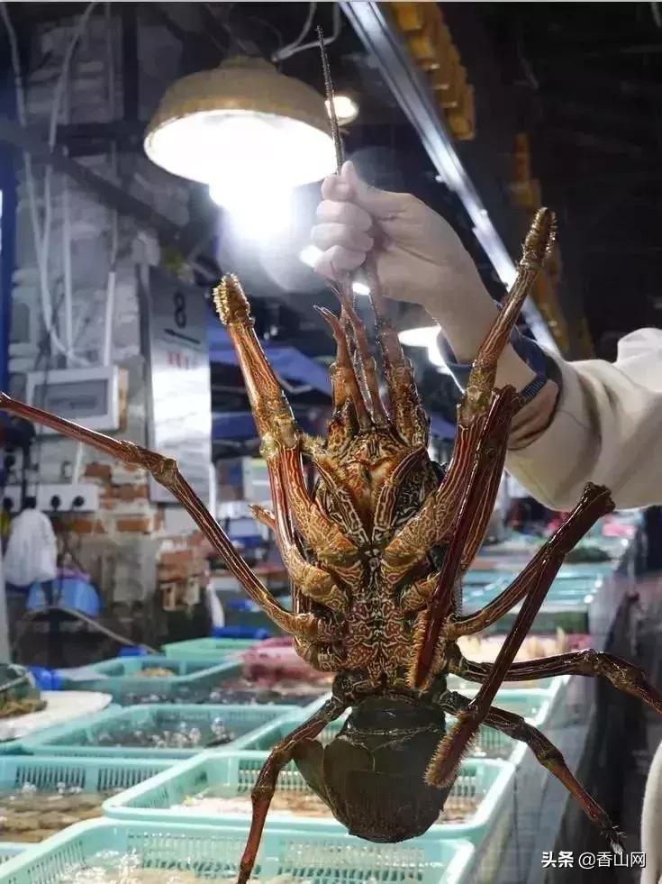 珠海有哪些海鲜街,珠海南屏海鲜街