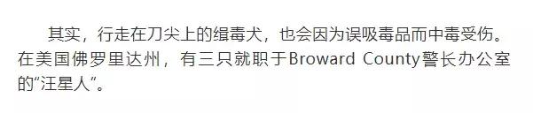 缉毒犬会染上毒瘾吗视频讲解,缉毒犬闻毒品味道会闻上瘾么