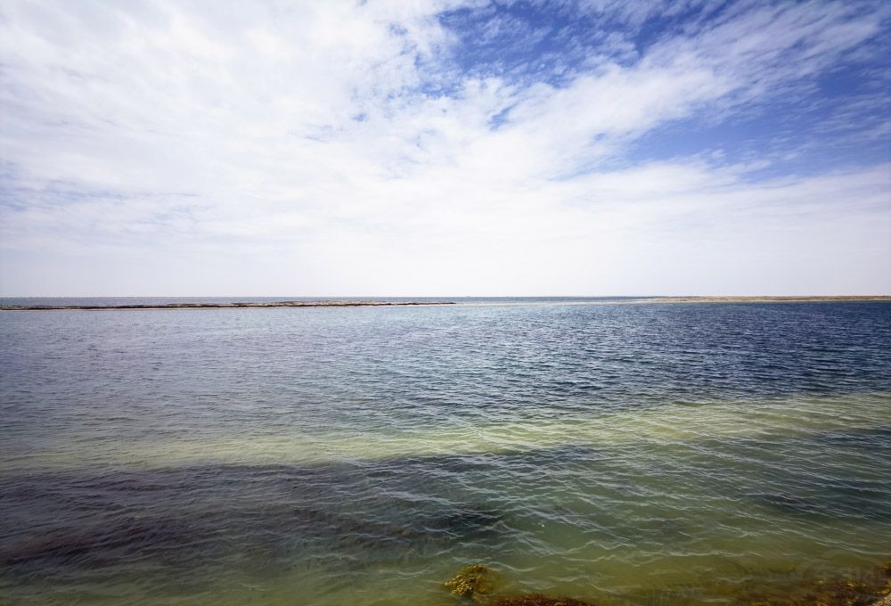 坦克300自驾夜景,坦克300360全景测试