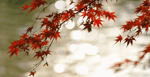 道德经致虚守静篇,致虚极守静笃道德经第十六章