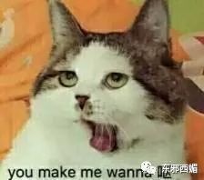 她到底美不美？被儿子骂“猪头”束手无策，豪门阔太不好当啊！