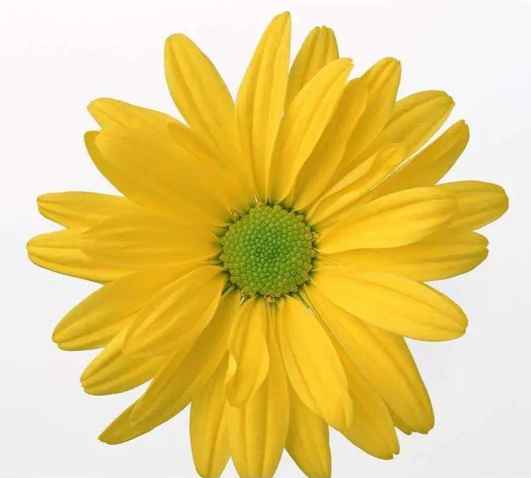 肛门瘙痒症的症状和治疗方法,肛门瘙痒症怎么治疗最好