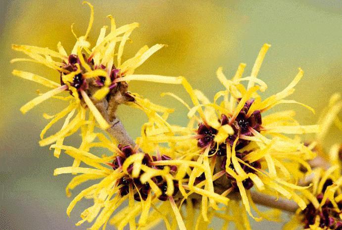 让罗永浩动情的产品,让罗永浩喜欢的产品