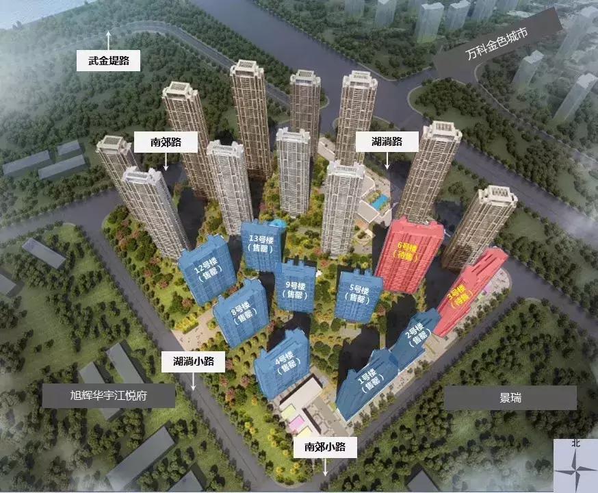 青菱五姐妹现状,白沙洲青菱现状