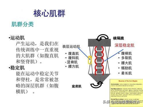 两个简单动作有效缓解腰痛，核心肌力运动疗法训练搞定避免反复发
